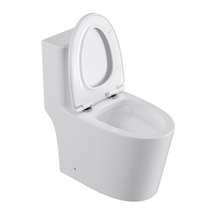 One-Piece Toilet YBMT36