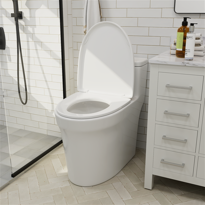 One-Piece Toilet YBMT66