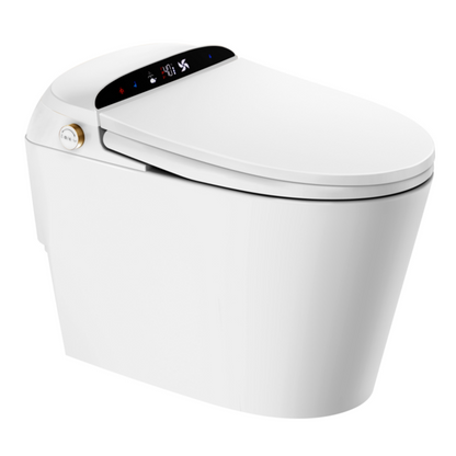 Smart Toilet YBSTY10