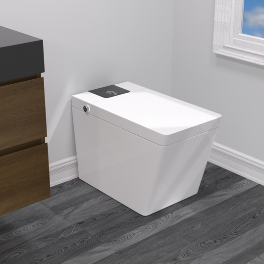 Smart Toilet YBSTF02