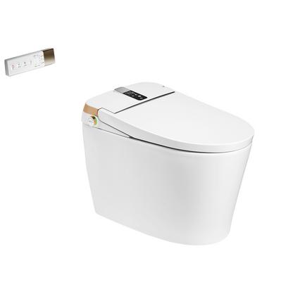 Smart Toilet YBSTY03