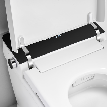 Smart Toilet T5