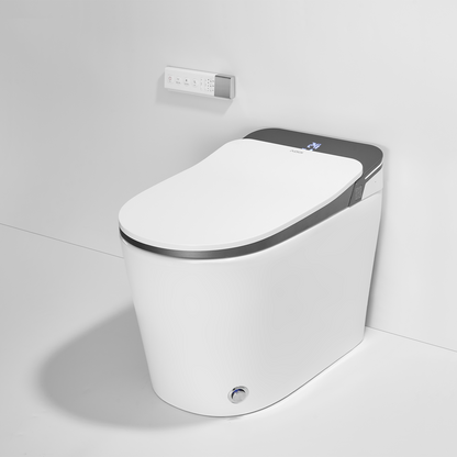 Smart Toilet T70